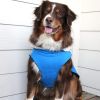 Alpine All-Weather Dog Coat - Red and Black