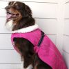 Alpine All-Weather Dog Coat - Beige Plaid