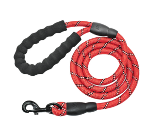 Reflective Nylon Dog Leash for Small Medium Large Dogs (Color: Red)