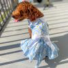 Dog Dress Blue Daisy