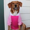 Pink on Pink Dog Hoodie