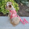 Dog Harness Hawaiian Red