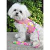 Dog Harness Hawaiian Floral