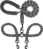 Double Dog Leash