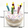 Dog Toy Birthday Cake