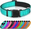 Reflective Collar