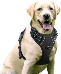 No-Pull Pet Harness (Color: Baby Blue, size: X-Large)