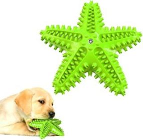 Outdoor Dog Chew Toy Starfish (Color: Green)