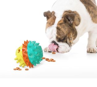 Interactive Dog Chew Toy with Rope (Color: Green)