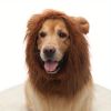 Dog Costume Lion Mane