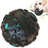 Interactive Puppy Ball