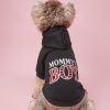 Winter Pet Hoodie