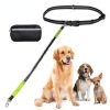 Hands Free Dog Leash