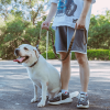 Tactical Leash for Dogs