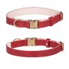 Leather dog collar