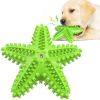 Dog Toothbrush Molar Toy