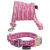 Embroidered Dog Leash and Collar Set