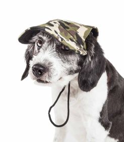 Camouflage Dog Hat (size: large)