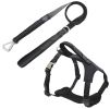 Reflective Dog Leash & Harness