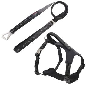 Reflective Dog Leash & Harness (Color: Black, size: large)