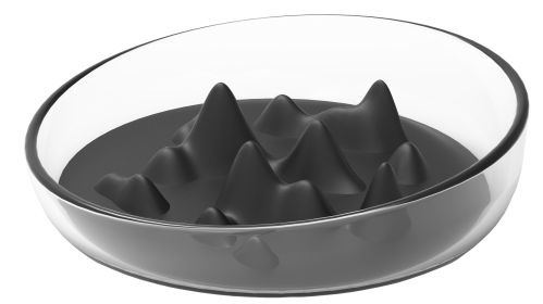 Slow Feeding Pet Bowl (Color: Black)