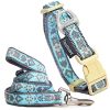 Embroidered Collar and Leash