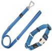 Reflective Martingale Dog Leash and Collar Set