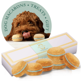 Dog Macaron Treats 6 Pack (Flavor: Mint)