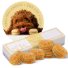 Macarons for Dogs Pack 6