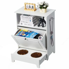 Dog Feeding Station with Cabinet (Default: Default)