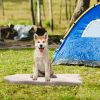 Dog Bed Orthopedic