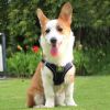 Reflective No Pull Pet Harness Set