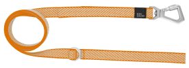 Convertible Dog Leash and Harness