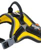 Free-Range Dog Harness