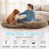 Human Dog Bed