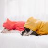 Waterproof Dog Raincoat