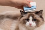 Underake Travel  Pet Comb