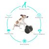 Interactive Dog Feeder Toy