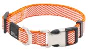 Outdoor Dog Leash and Collar