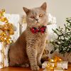 Christmas Bell Pet Collar Set