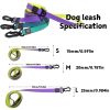 Traction Leash Set