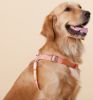 Nylon Dog Harness and Leash