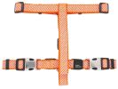 Convertible Dog Leash and Harness