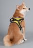 Free-Range Dog Harness