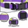 Traction Leash Set