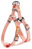 Nylon Dog Harness and Leash