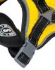 Free-Range Dog Harness
