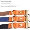Leather dog collar