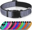 Reflective Collar