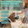 Interactive Puppy Ball